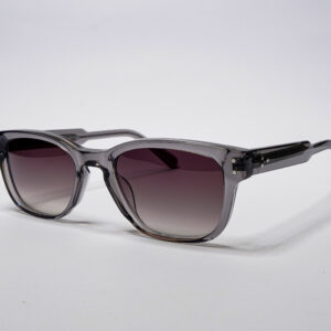 StarkVision